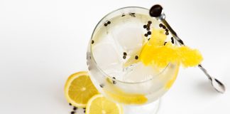 origin of gin and tonic